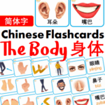 Chủ đề số 12: Flashcard tiếng Trung Body Bộ phận cơ thể [PDF]