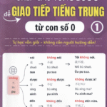 Sách Ghép Câu Từng Bước Giao Tiếp Tiếng Trung Từ Con Số 0 - Tập 1 [PDF]
